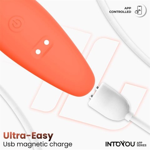 InToYou wibrator dla par — złącze ładowania magnetycznego