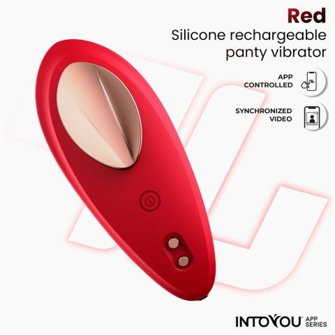 InToYou wibrator do majtek — faktura silikonu, zbliżenie