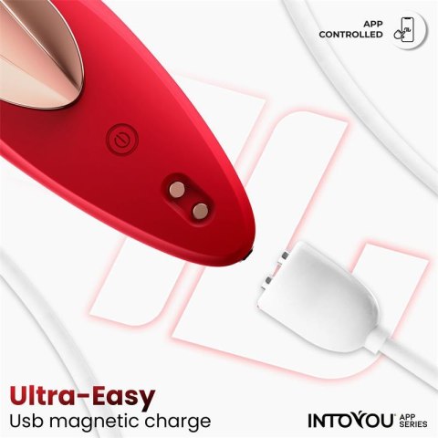 InToYou wibrator do majtek — złącze ładowania USB