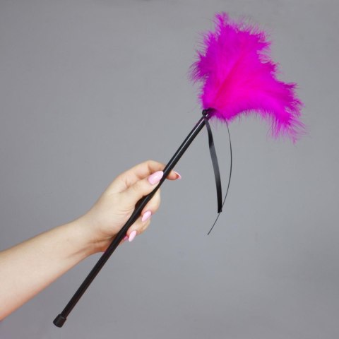 Plumero Plumas Fucsia Plumero Plumas Fucsia