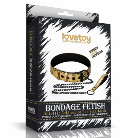 Bondage Fetish Metallic Pup Collar With Leash Bondage Fetish Metallic Pup Collar With Leash