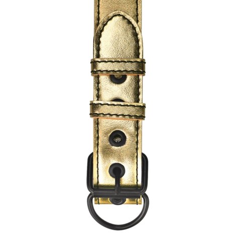 Bondage Fetish Metallic Pup Collar With Leash Bondage Fetish Metallic Pup Collar With Leash