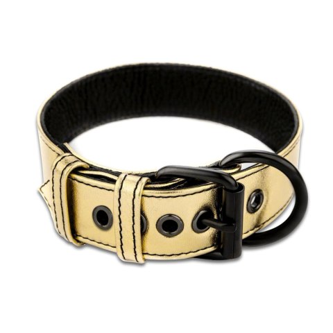 Bondage Fetish Metallic Pup Collar With Leash Bondage Fetish Metallic Pup Collar With Leash