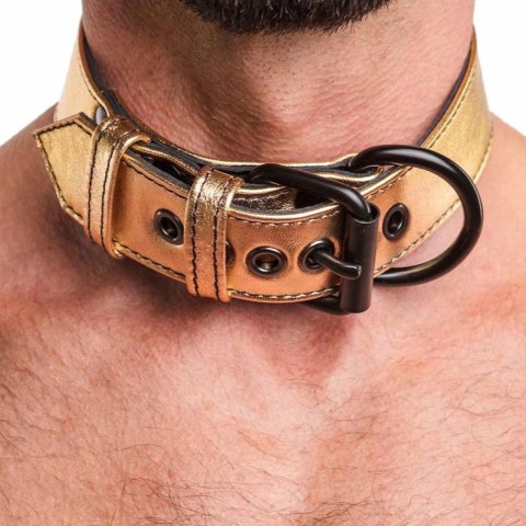 Bondage Fetish Metallic Pup Collar With Leash Bondage Fetish Metallic Pup Collar With Leash