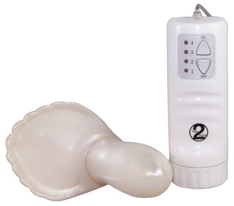BottiShelly Vibro-shell BottiShelly Vibro-shell