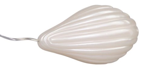 BottiShelly Vibro-shell BottiShelly Vibro-shell