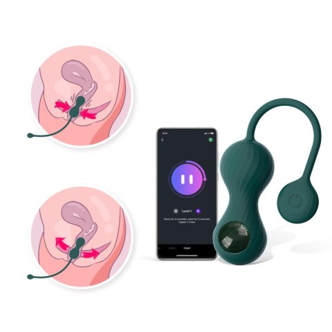 Crystal Duo Smart | Trener Mięśni Kegla z Zestawem Ciężarków Crystal Duo Smart | Trener Mięśni Kegla z Zestawem Ciężarków
