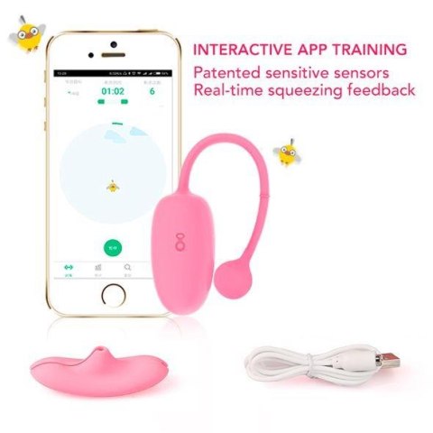 Piłki do Treningu Kegla | Kegel Coach Smart Exerciser Piłki do Treningu Kegla | Kegel Coach Smart Exerciser