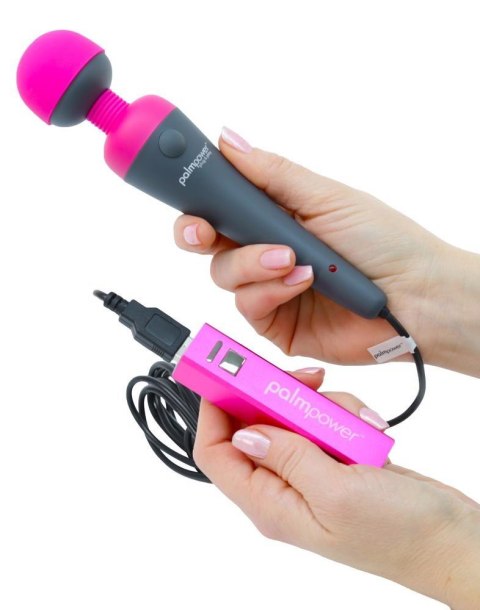 Palm Power Plug & Play Palm Power Plug & Play