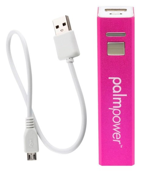 Palm Power Plug & Play Palm Power Plug & Play