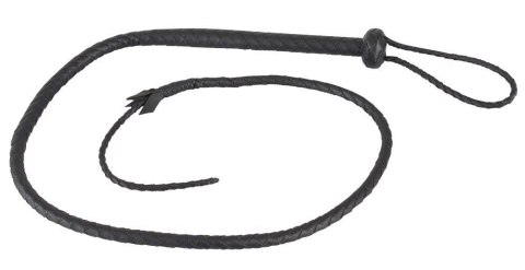 Le Single Tail Le Single Tail