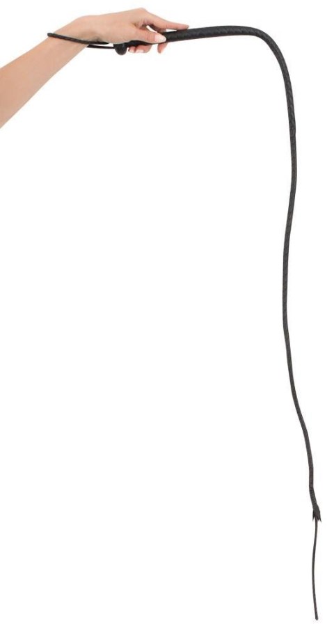 Le Single Tail Le Single Tail