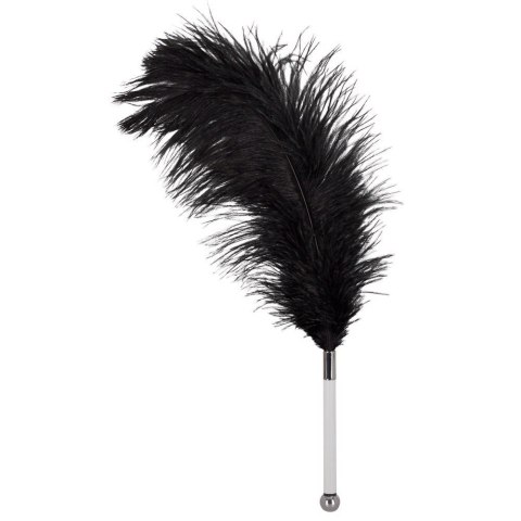 Feather black acrylic Feather black acrylic